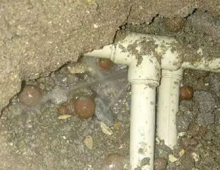 鼎湖卫生间测漏