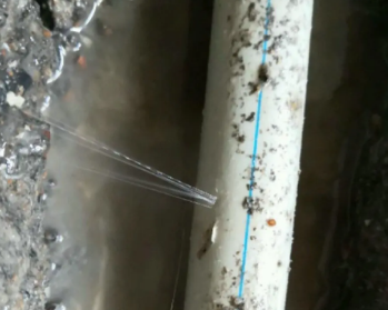 鼎湖卫生间测漏水多少钱