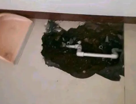 鼎湖卫生间测漏水多少钱